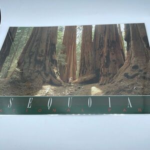 Vintage Souvenir placemat 2 sided  Kings Canyon Sequoia  N.P.